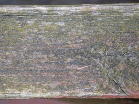 Extreme macro close-up of texture for background Stock Photos