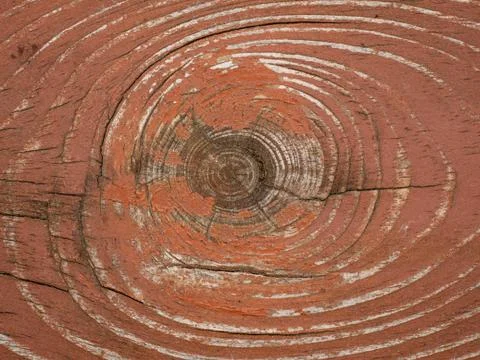 Extreme macro close-up of texture for background Stock Photos