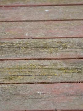 Extreme macro close-up of texture for background Stock Photos