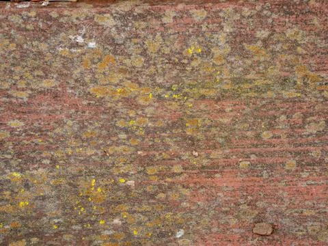 Extreme macro close-up of texture for background Stock Photos