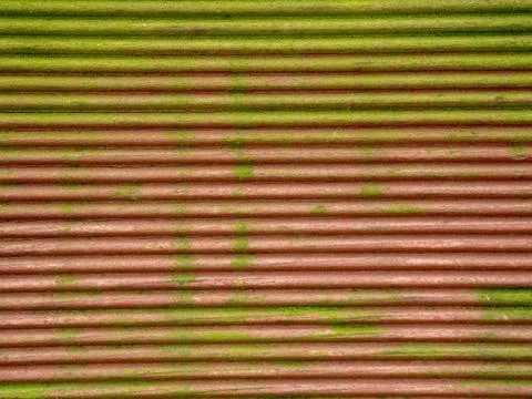 Extreme macro close-up of texture for background Stock Photos