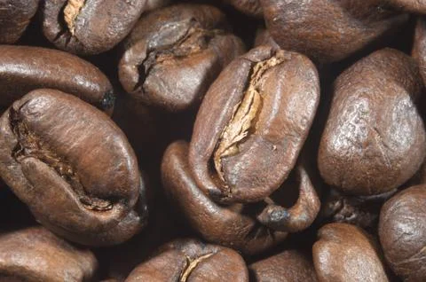 Extreme macro of coffee beans. Stock Photos