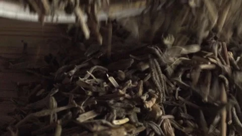 Extreme Macro of Dried Culinary Herbs Showing Natural Texture and Organic Stock Footage 342667826