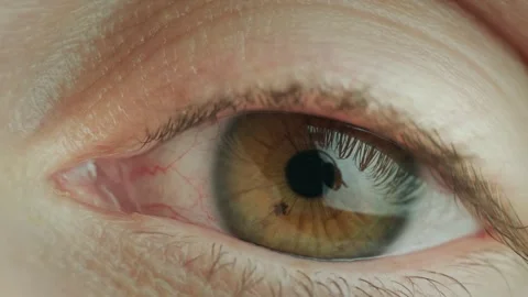 Extreme macro of human brown eye with visible pupil and iris details in slo.. Stock Footage 335062891