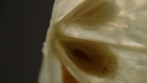 Extreme Macro Lemon Slice With Glowing Citrus Fibers and Seeds Stock Footage 336462856