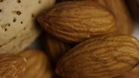Extreme macro pan over textured almond shells and kernels Video stock 328136202