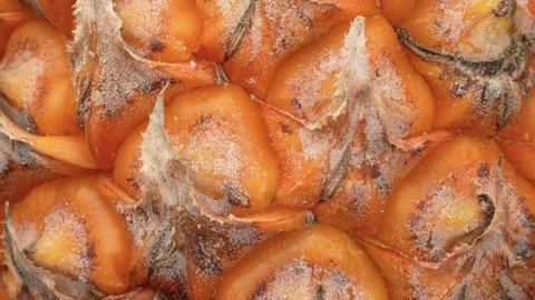 Extreme Macro of Pineapple Skin Texture – Abstract Tropical Fruit Pattern Stock Footage 317101671