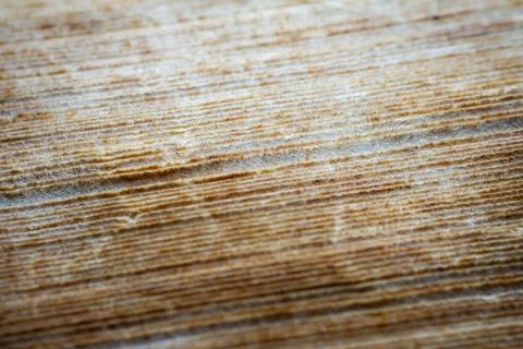 Extreme macro of plastic bubble wrap texture Stock Photos