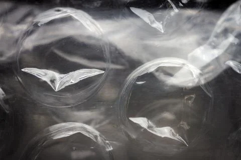 Extreme macro of plastic bubble wrap texture Foto stock