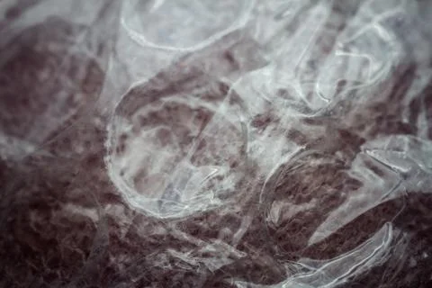 Extreme macro of plastic bubble wrap texture Stock Photos