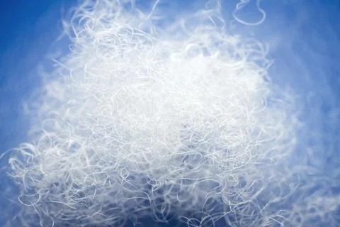 Extreme macro of polyester stable fiber on blue background Stock Photos