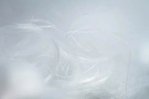 Extreme macro of polyester stable fiber Stock Photos