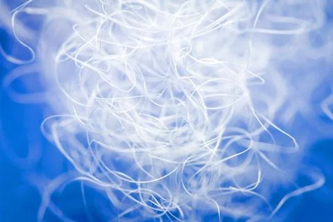 Extreme macro of polyester stable fiber on blue background Stock Photos