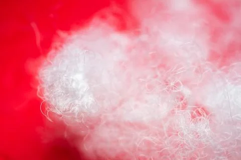 Extreme macro of polyester stable fiber on red background Stock Photos