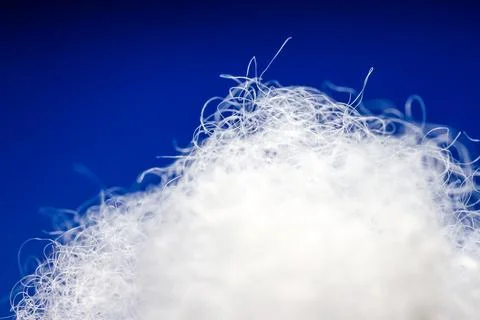 Extreme macro of polyester stable fiber on blue background Stock Photos