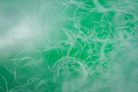 Extreme macro of polyester stable fiber on green background Stock Photos