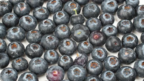 Extreme Macro Rotating Blueberries Texture Background Isolated on White 4K Stock-Footage 320659431