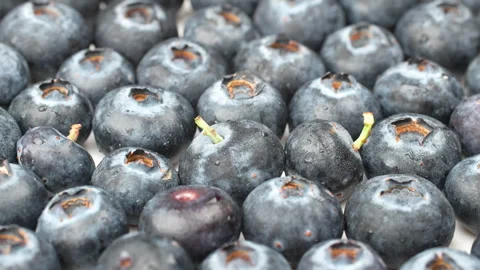 Extreme Macro Rotating Fresh Blueberries Texture Background 4K Stock Footage 320659361