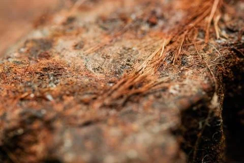 Extreme Macro Rust Texture Corroded Metal Su Stock Photos