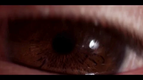 Extreme macro shot of brown human eye iris blinking Stock Footage 329751152