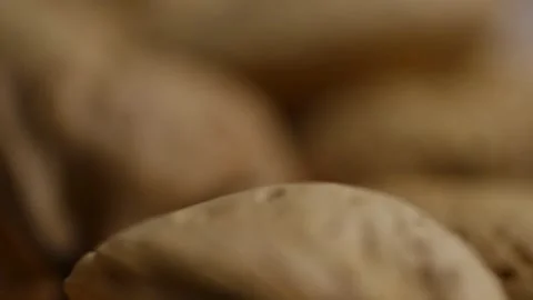 Extreme macro shot moving over various textured nut shells Stock Footage 327829242
