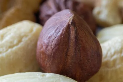 Extreme macro shot of a single hazelnut surrounded by assorted mixed nuts, Stock Photos