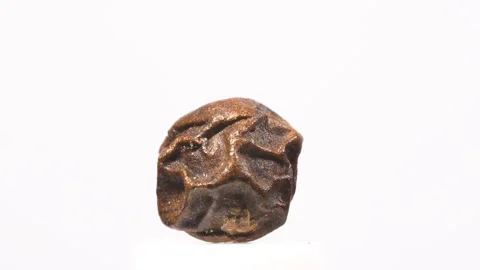 Extreme Macro Single Dried Black Peppercorn White Backgroundd Vídeo Stock 331190870