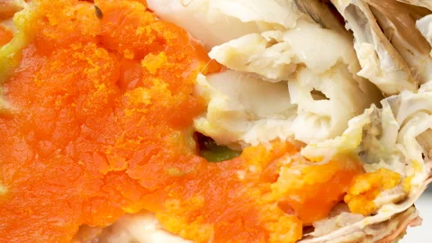 Extreme Macro Of Steaming Vietnamese Crab Roe And Eggs Texture 4K Stock Footage 321759283