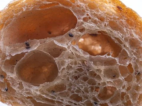 Extreme macro texture of cross-section honeycomb interior structure Stock-Fotos
