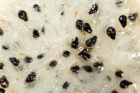 Extreme macro texture of dragon fruit flesh and seeds Stock Photos
