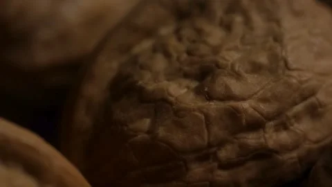 Extreme macro texture of rough brown walnut shell ridges Stock Footage 328084242