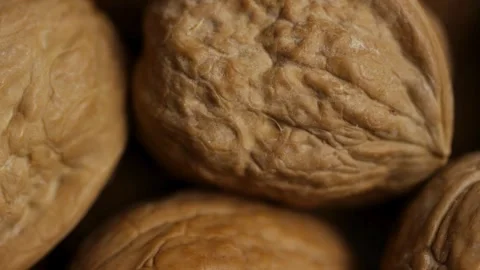 Extreme macro texture of rough brown walnut shell ridges 動画素材 328084518