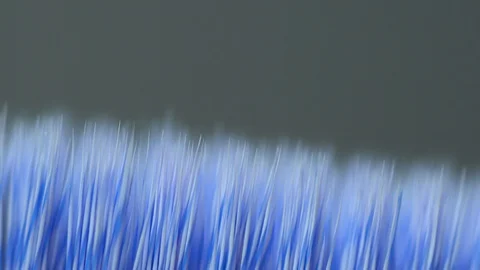 Extreme macro toothbrush Stock Footage 119079428