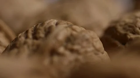 Extreme macro tracking shot across textured walnut shells Video stock 327911223