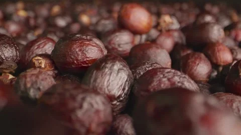 This extreme macro tracking shot highlights the Stock Footage 333113456