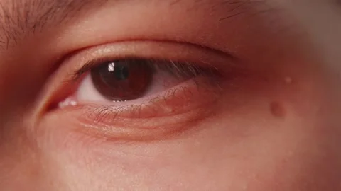 Extreme macro view of human brown eye iris looking at camera Stock-Footage 347068933