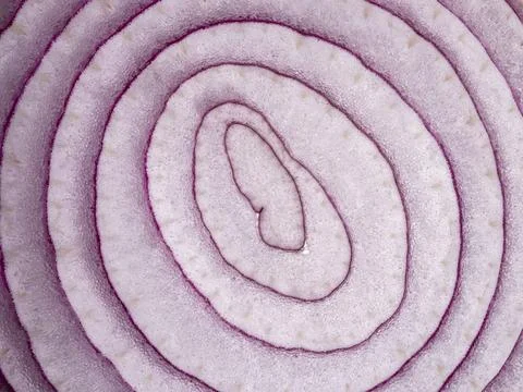 Extreme macro view of red onion slice showing purple concentric rings Foto stock