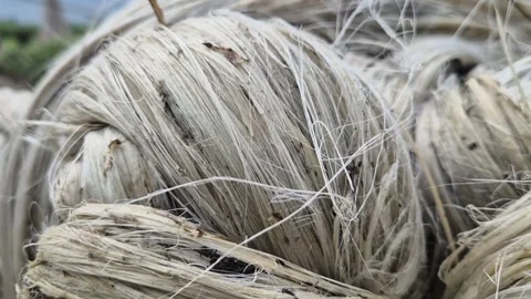 Extreme Macro View Of Twisted Wet Raw Jute Fiber Hank Bundle Texture Pattern Stock Footage 341199925