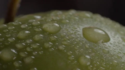 Extreme Macro of Water Droplets on Fresh Green Apple Surface Stock Footage 341856211