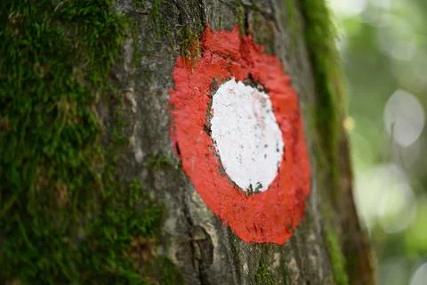 Extreme macro of weathered red trail marker paint Stock Photos
