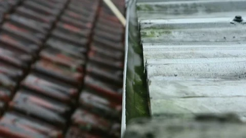 Extreme rain in the afternoon Stock-Footage 330950928