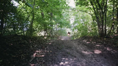 Extreme riding in the dense forest among the trees Sunny weather 스톡 동영상 116759927