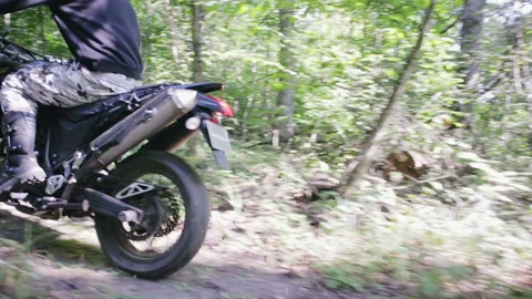 Extreme riding in the dense forest among the trees Sunny weather Видео 116760151