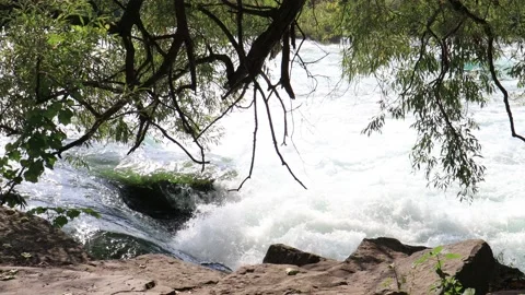 Extreme River Current Under Tree Stock Footage 138481114