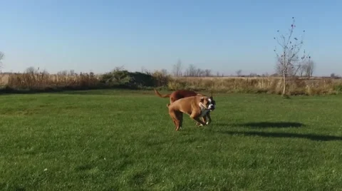 Extreme slow motion boxer playing Stock Footage 56861257
