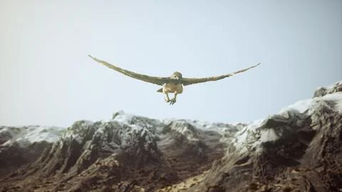 Extreme slow motion shot of eagle Stock Illustration