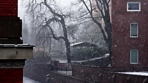 Extreme snow in Oslo Stock Footage 268618142