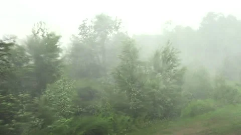 Extreme Storm Rain Vídeos de archivo 54207976