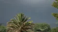 extreme weather super slo mo extreme day lightning strikes behind palm 1 HD 동영상
