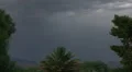 extreme weather super slo mo extreme day lightning strikes behind palm 2 HD 동영상